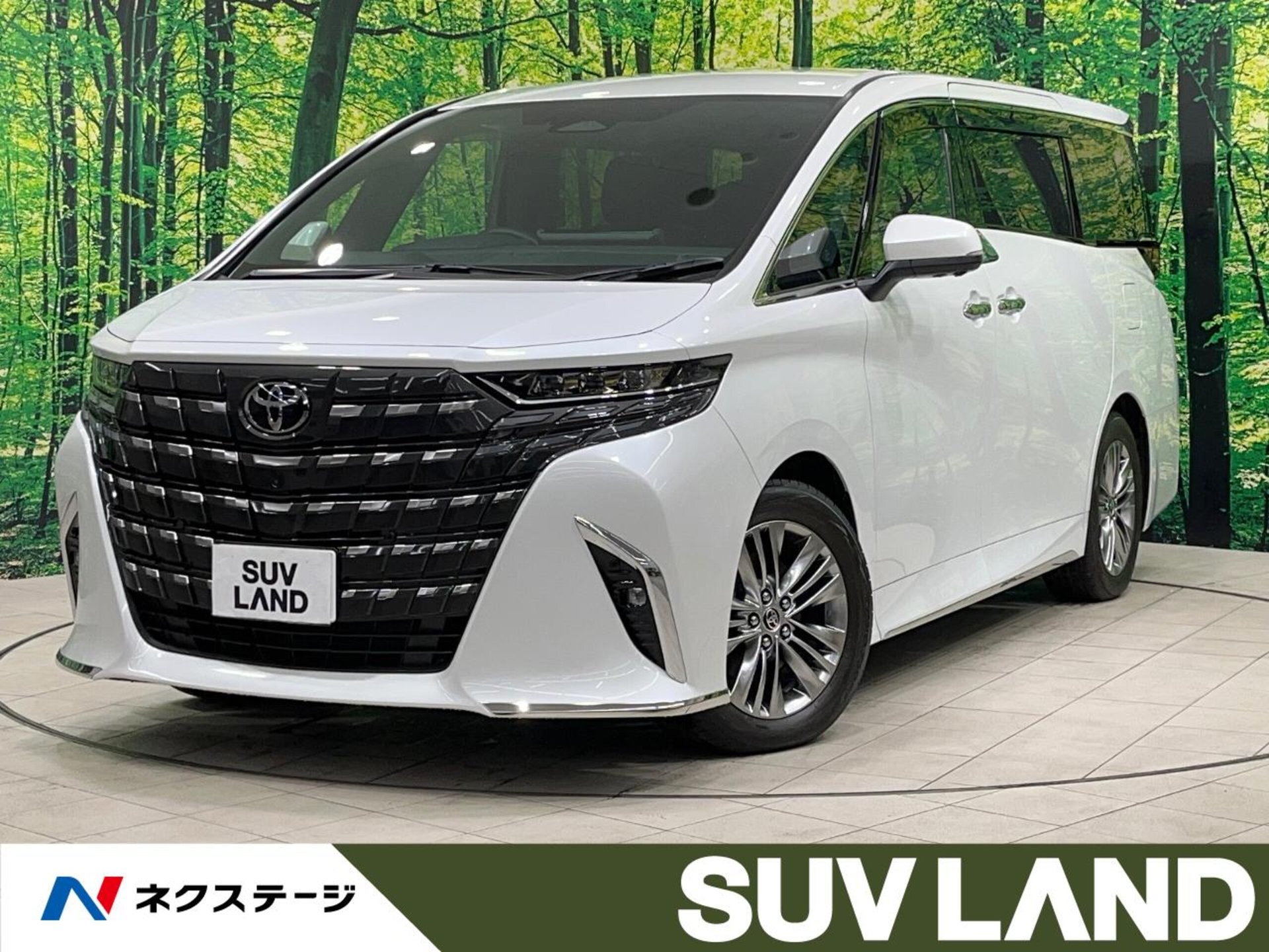 TOYOTA ALPHARD - View 1