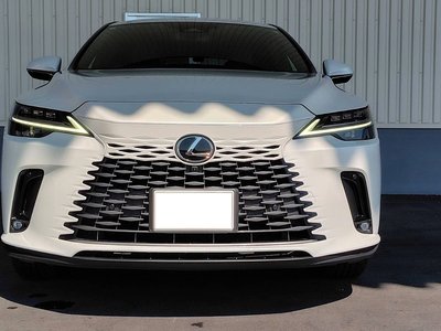 LEXUS RX - 10
