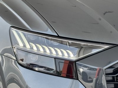 2024 AUDI RS Q8 缩略图 23