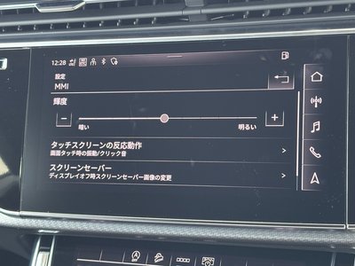 2024 AUDI RS Q8 缩略图 63