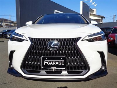 LEXUS NX - 2