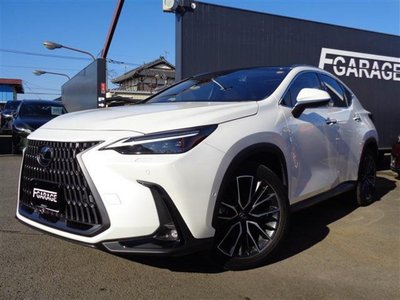 LEXUS NX - 1