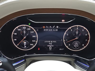 2020 Bentley FLYING SPUR — фото 8