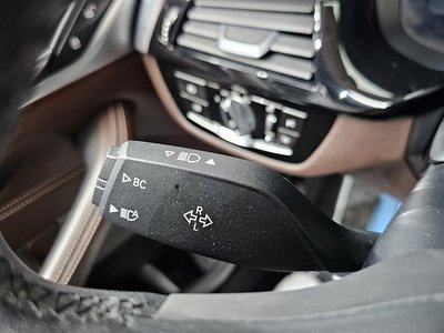 2020 BMW 5 SERIES 缩略图 30