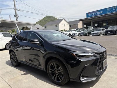 LEXUS NX - 4