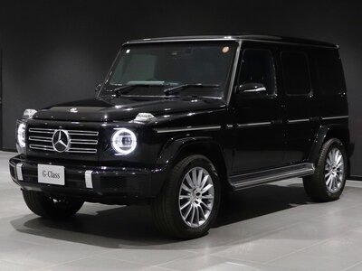 MERCEDES-BENZ G-CLASS - 5