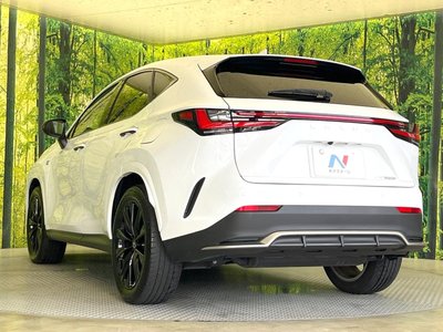 صورة مصغرة 31 لـ 2024 Lexus NX