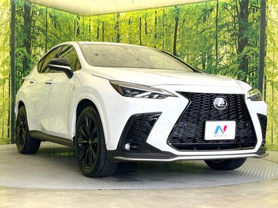 صورة مصغرة 16 لـ 2024 Lexus NX