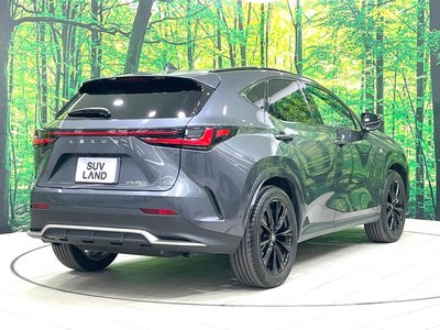 2023 Lexus NX 缩略图 17