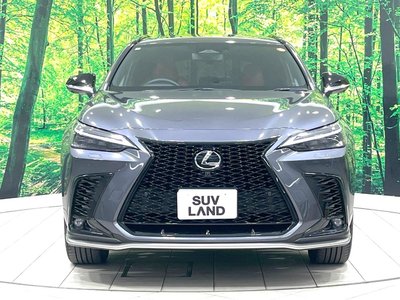 2023 Lexus NX 缩略图 15