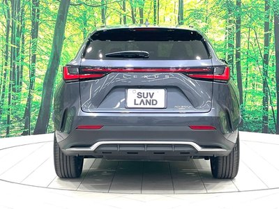 2023 Lexus NX 缩略图 16