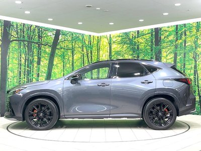 2023 Lexus NX 缩略图 32
