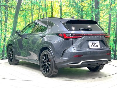 2023 Lexus NX 缩略图 33