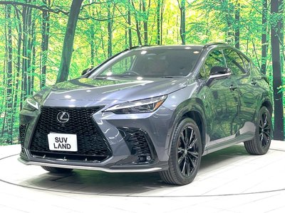 2023 Lexus NX 缩略图 31