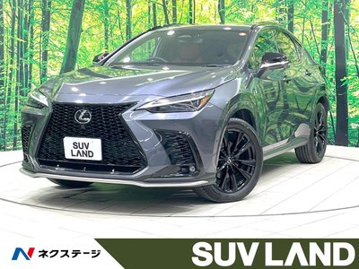 2023 Lexus NX 照片 1