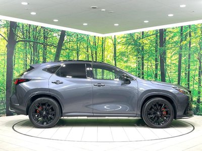 2023 Lexus NX 缩略图 34