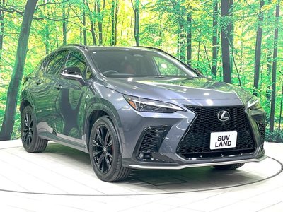 2023 Lexus NX 缩略图 35