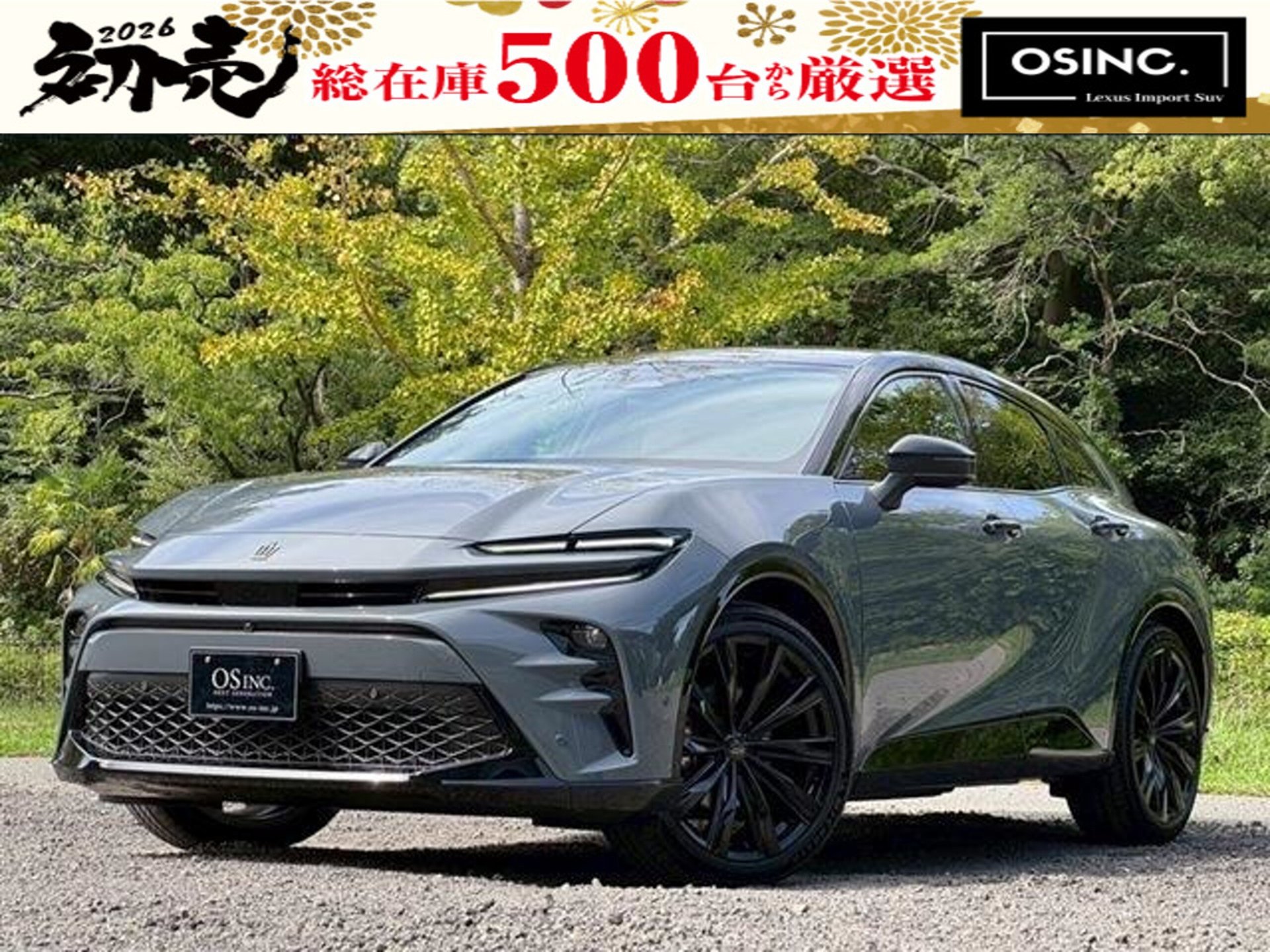 TOYOTA CROWN SPORT - View 1