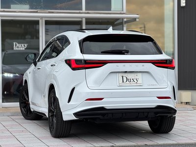 LEXUS NX - 8