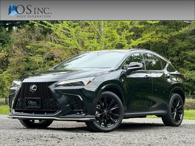 LEXUS NX - 1