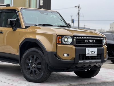 TOYOTA LAND CRUISER 250 - 10