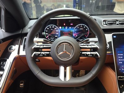 2025 Mercedes-BENZ S-CLASS — миниатюра 20