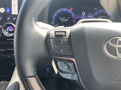 2025 Toyota ALPHARD — миниатюра 11
