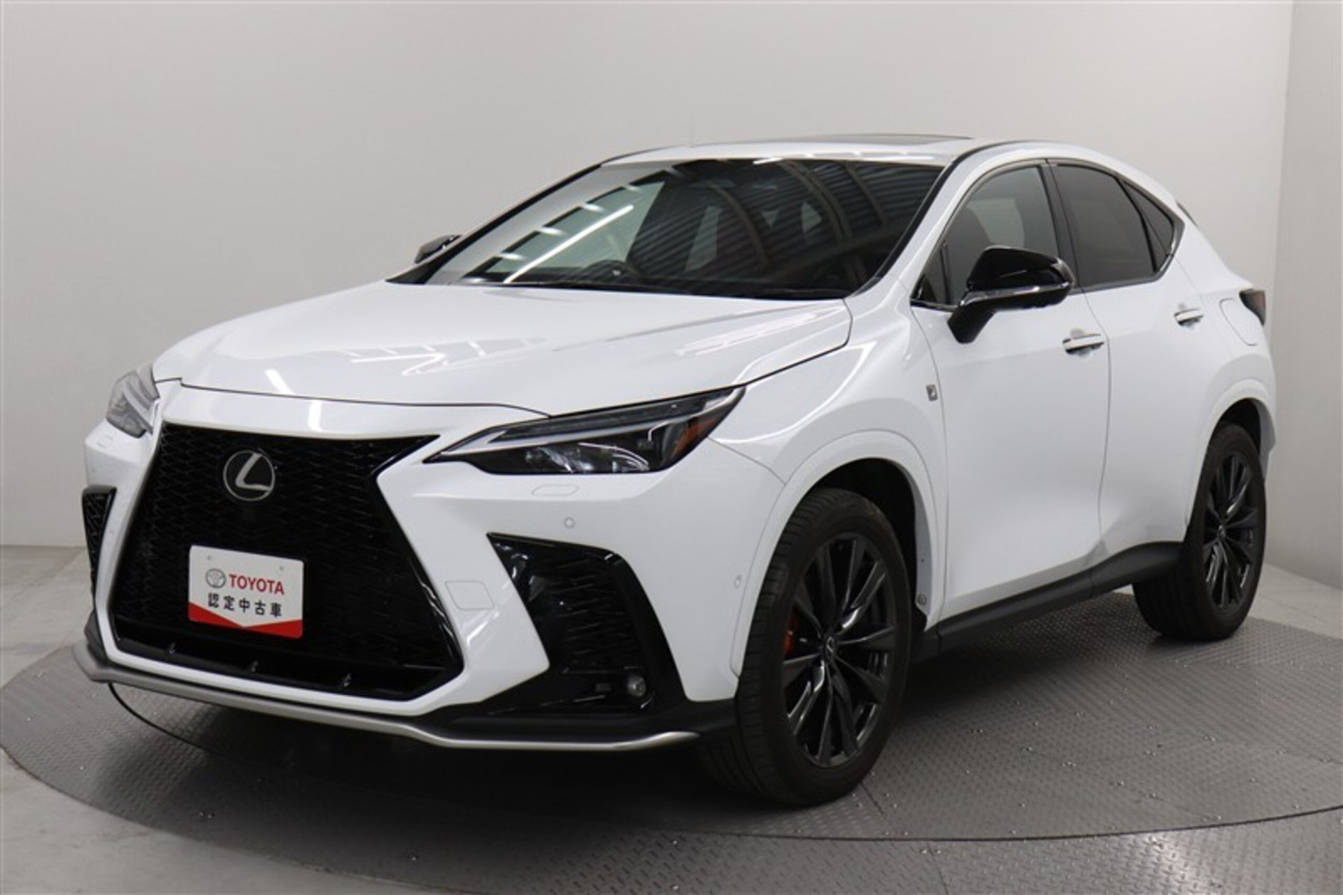 LEXUS NX - View 1