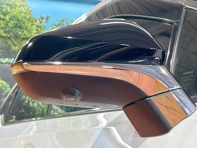 صورة مصغرة 32 لـ 2019 Lexus RX