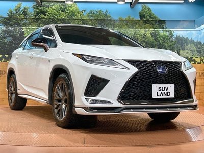 صورة مصغرة 18 لـ 2019 Lexus RX