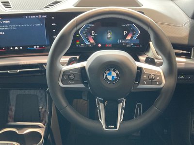 2025 BMW X2 缩略图 29