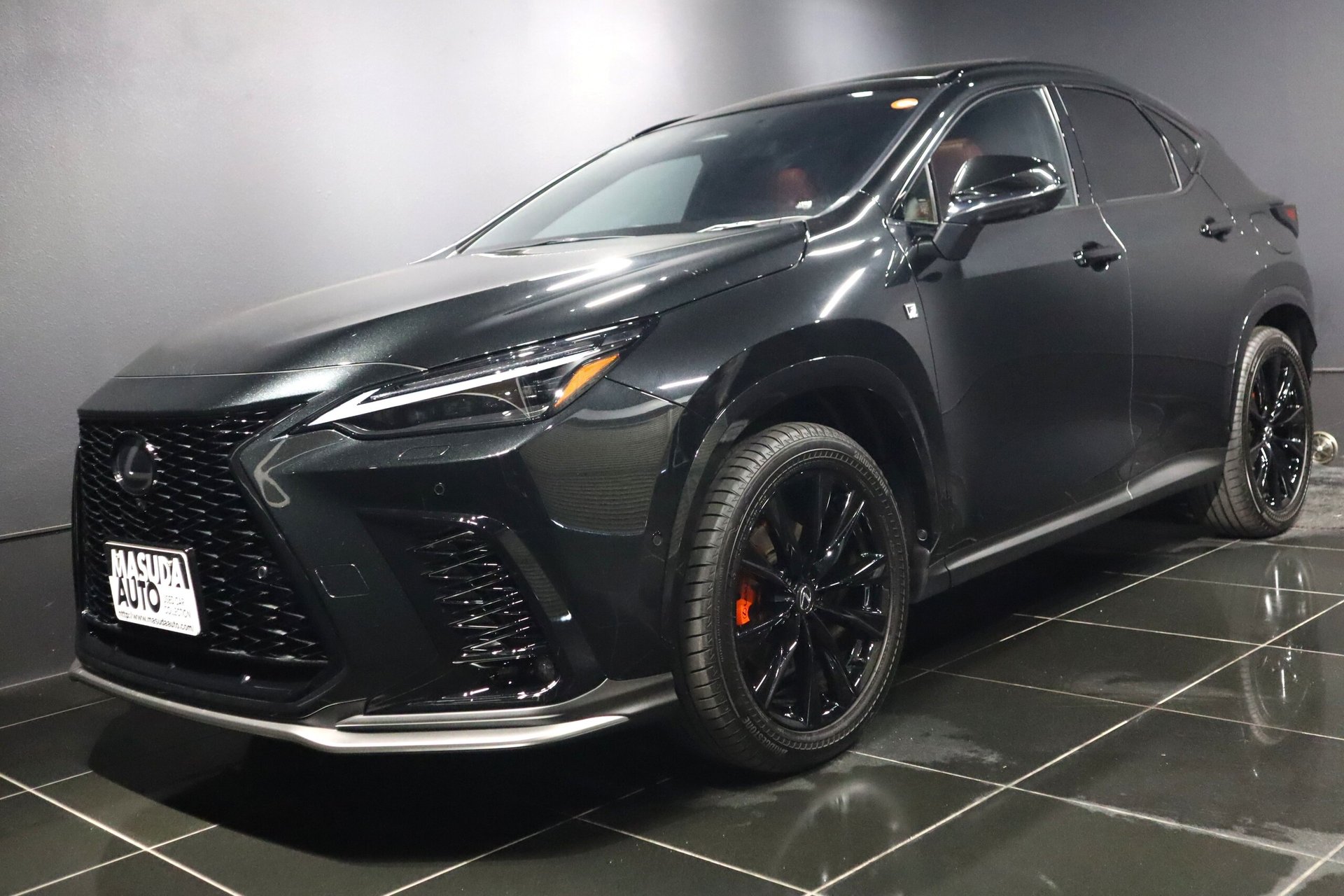 LEXUS NX - View 1