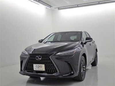 LEXUS NX - 1