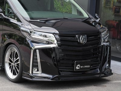 2023 Toyota ALPHARD — миниатюра 11