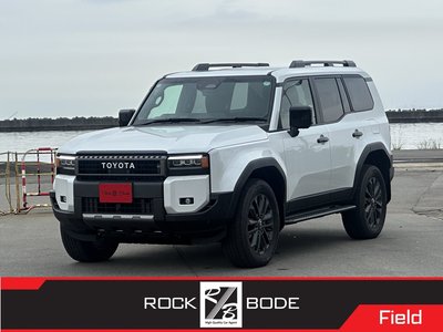 TOYOTA LAND CRUISER 250 - 1