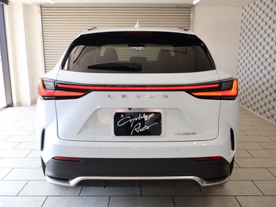 صورة مصغرة 52 لـ 2023 Lexus NX