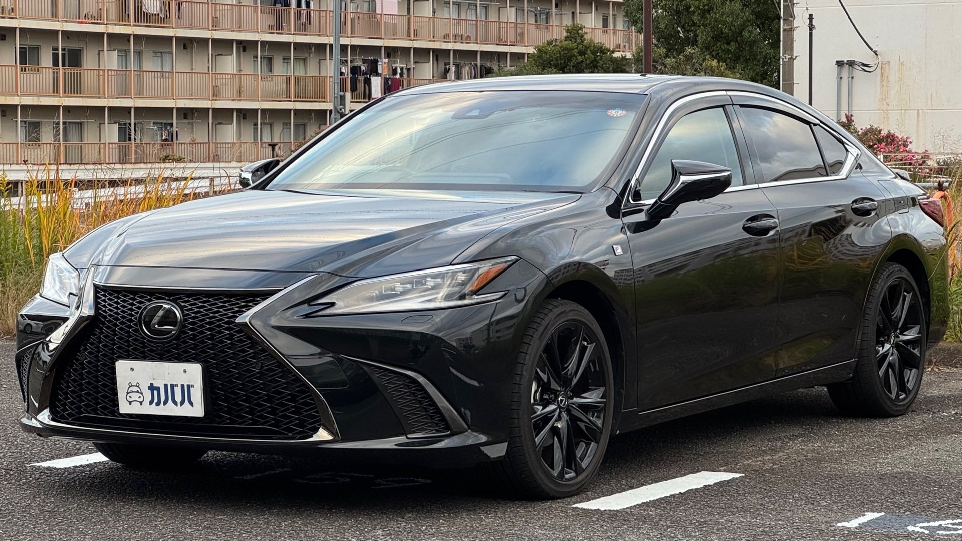 LEXUS ES F SPORT - View 1