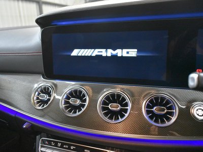 MERCEDES-BENZ CLS-CLASS AMG - 10