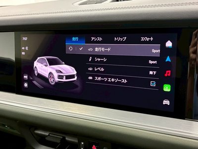 2023 Porsche CAYENNE thumbnail 41