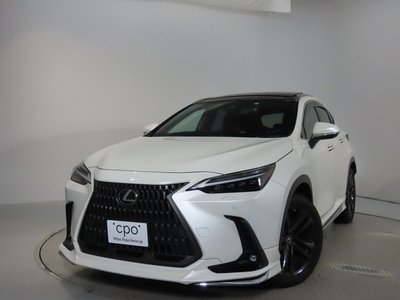 LEXUS NX - 6