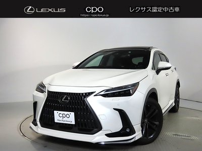 LEXUS NX - 1