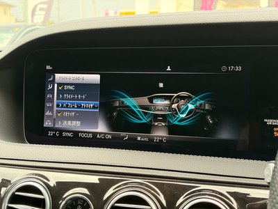 2019 Mercedes-BENZ S-CLASS 缩略图 17