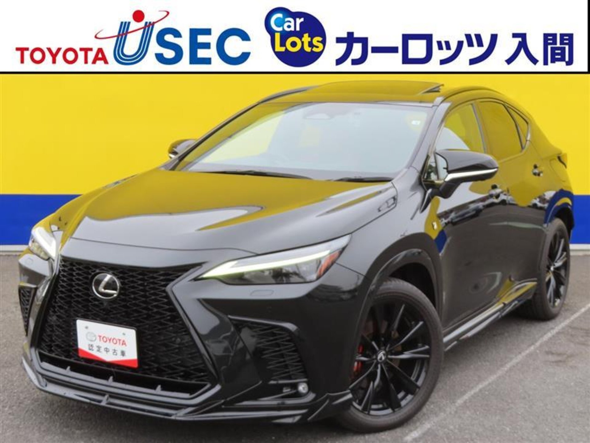 LEXUS NX - View 1