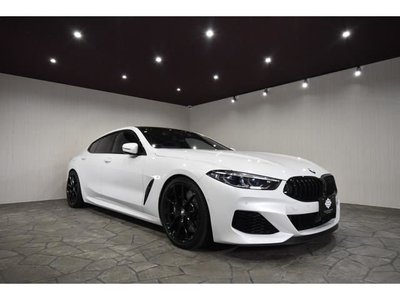 2019 BMW 8 SERIES thumbnail 50