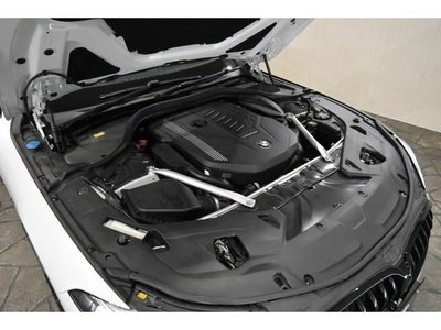 2019 BMW 8 SERIES thumbnail 18