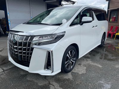 2019 TOYOTA ALPHARD photo 1