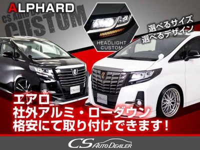 2023 Toyota ALPHARD 缩略图 64