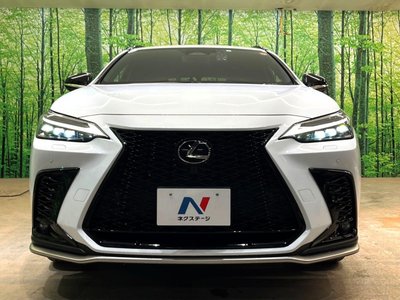 LEXUS NX - 10