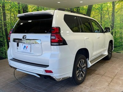 2022 Toyota LAND CRUISER PRADO 缩略图 18