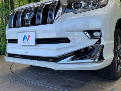 2022 Toyota LAND CRUISER PRADO 照片 6